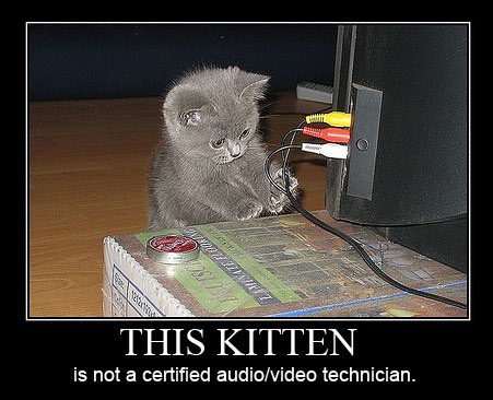 THIS KITTEN is not a certified audio/video technician